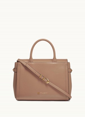 Donna Karan Roslyn Satchel Brown | UAE_DK14647